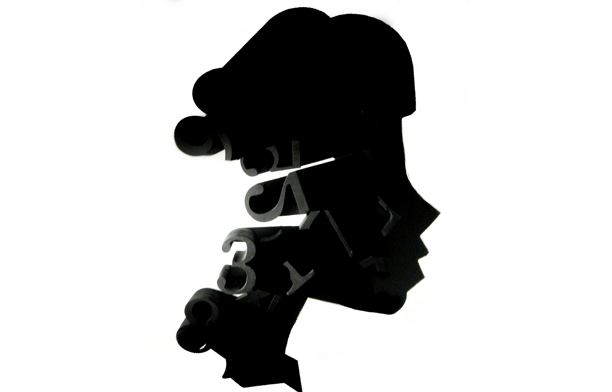 Eigene Silhouette.jpg